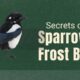 Sparrow Frost Black Bird