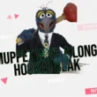 Muppet with a Long Hooked Beak as a feature image