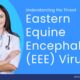 Doctor tells about Eastern Equine Encephalitis (EEE) Virus