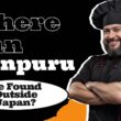 Text " Where Can Sanpuru Be Found Outside Japan " and chef in black uniform