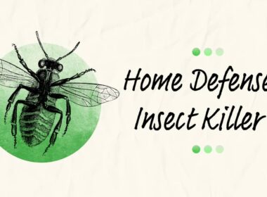 Ortho Home Defense Insect Killer